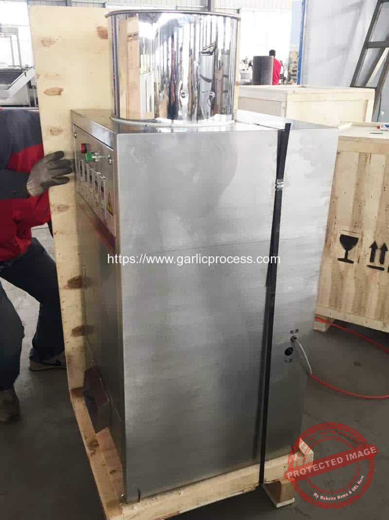 100KGH-Garlic-Peeling-Machine-for-Portugal-Customer